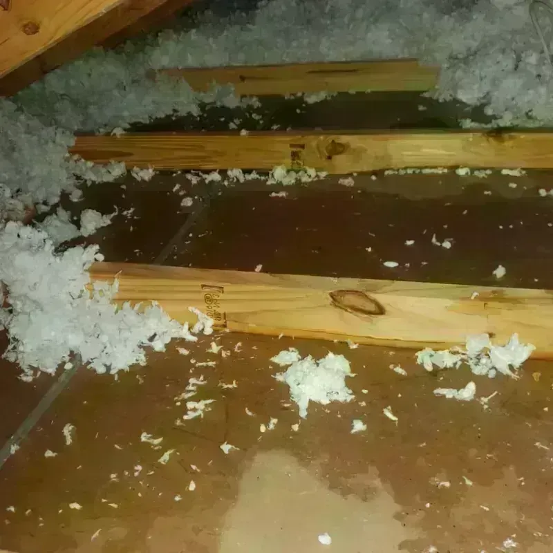 Attic Water Damage in Jamesburg, NJ