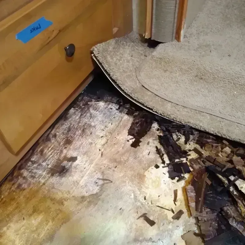 Best Wood Floor Water Damage Service in Jamesburg, NJ